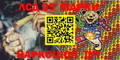 альфа пвп Новодвинск