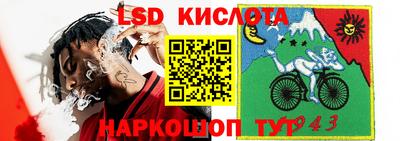 альфа пвп Новодвинск