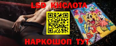 альфа пвп Новодвинск
