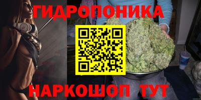 альфа пвп Новодвинск