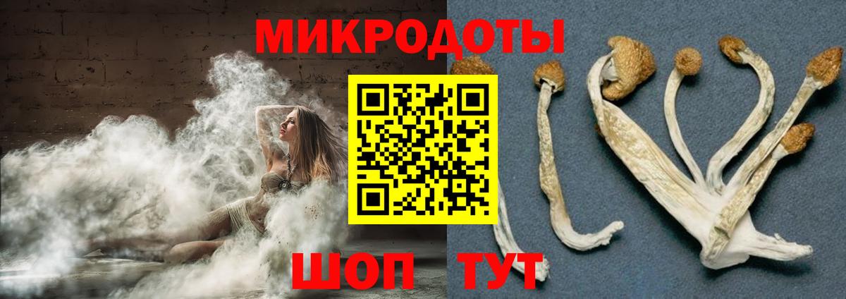 Павловский Посад  как найти наркотики  Вход с VPN  Псилоцибиновые грибы Psilocybine cubensis 